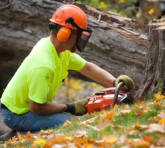 tree services Browns Valley